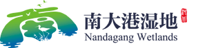 首页