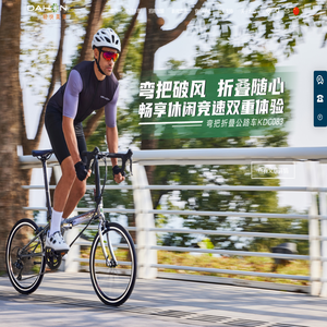 DAHON大行折叠车