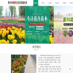 青州时令草花