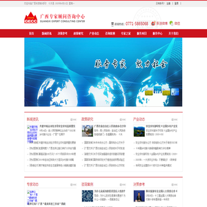 广西咨询顾问