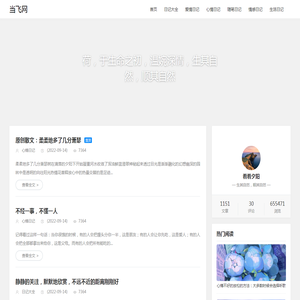 当飞网