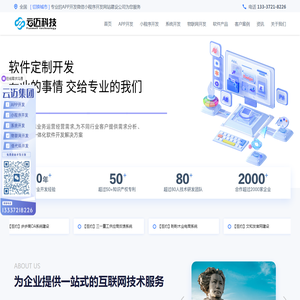 软件开发