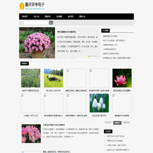 重庆安考电子商务有限公司