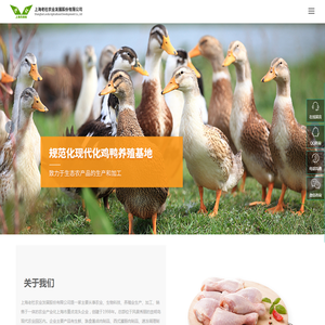 上海老杜农业发展股份有限公司