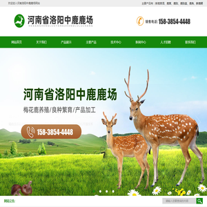 河南省洛阳中鹿鹿场
