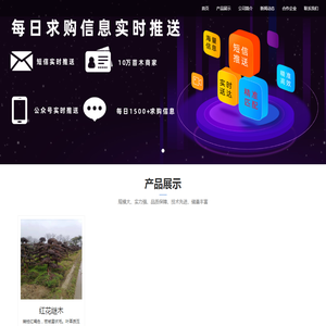 四川盛世闪光科技有限责任公司