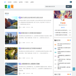 限行网
