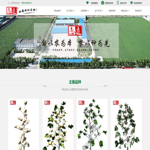 惠远种业